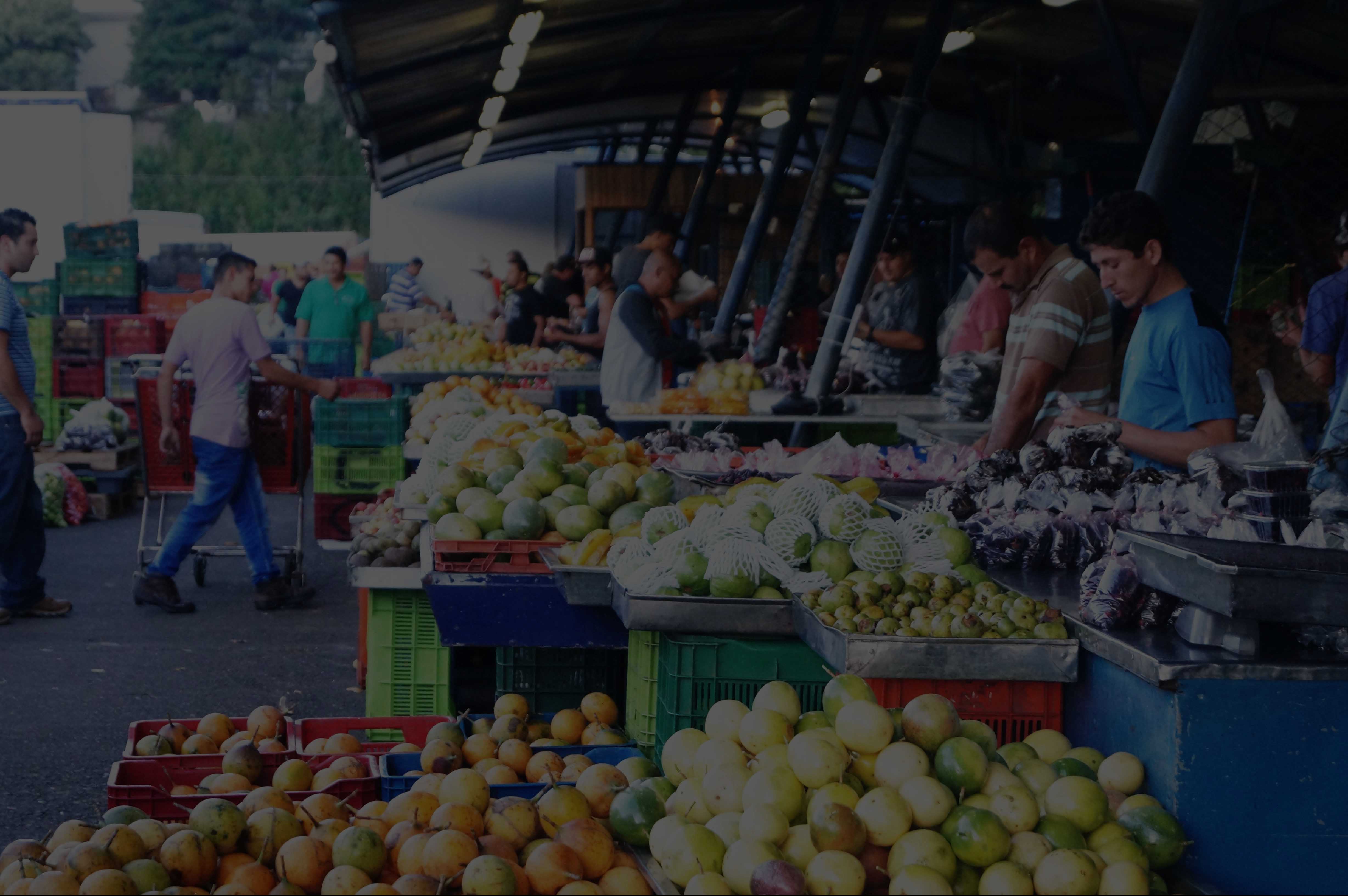 Fotografía del mercado mayorista